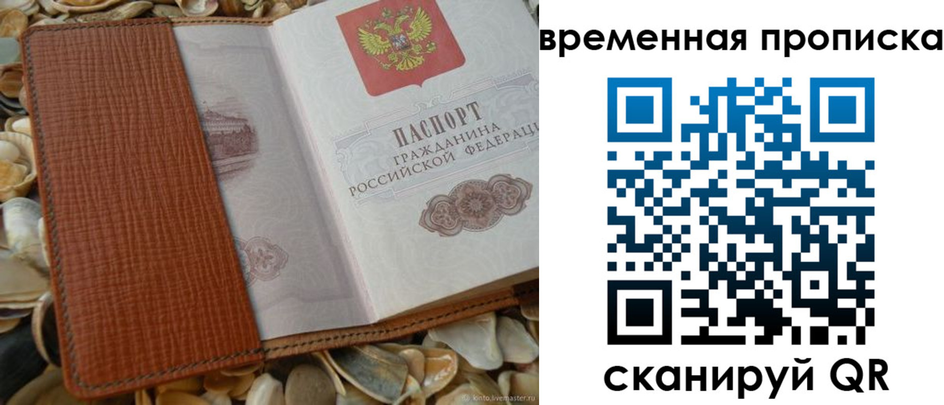 пропишу в квартире в Жуковском